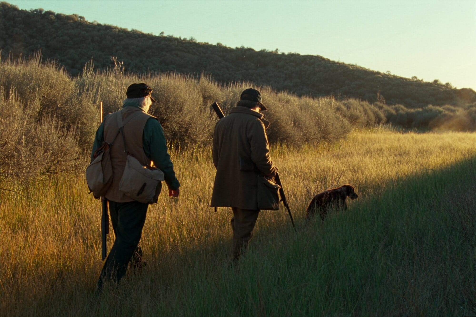Two upland hunters and a dog working a sagebrush draw in the Western foothills at sunrise.