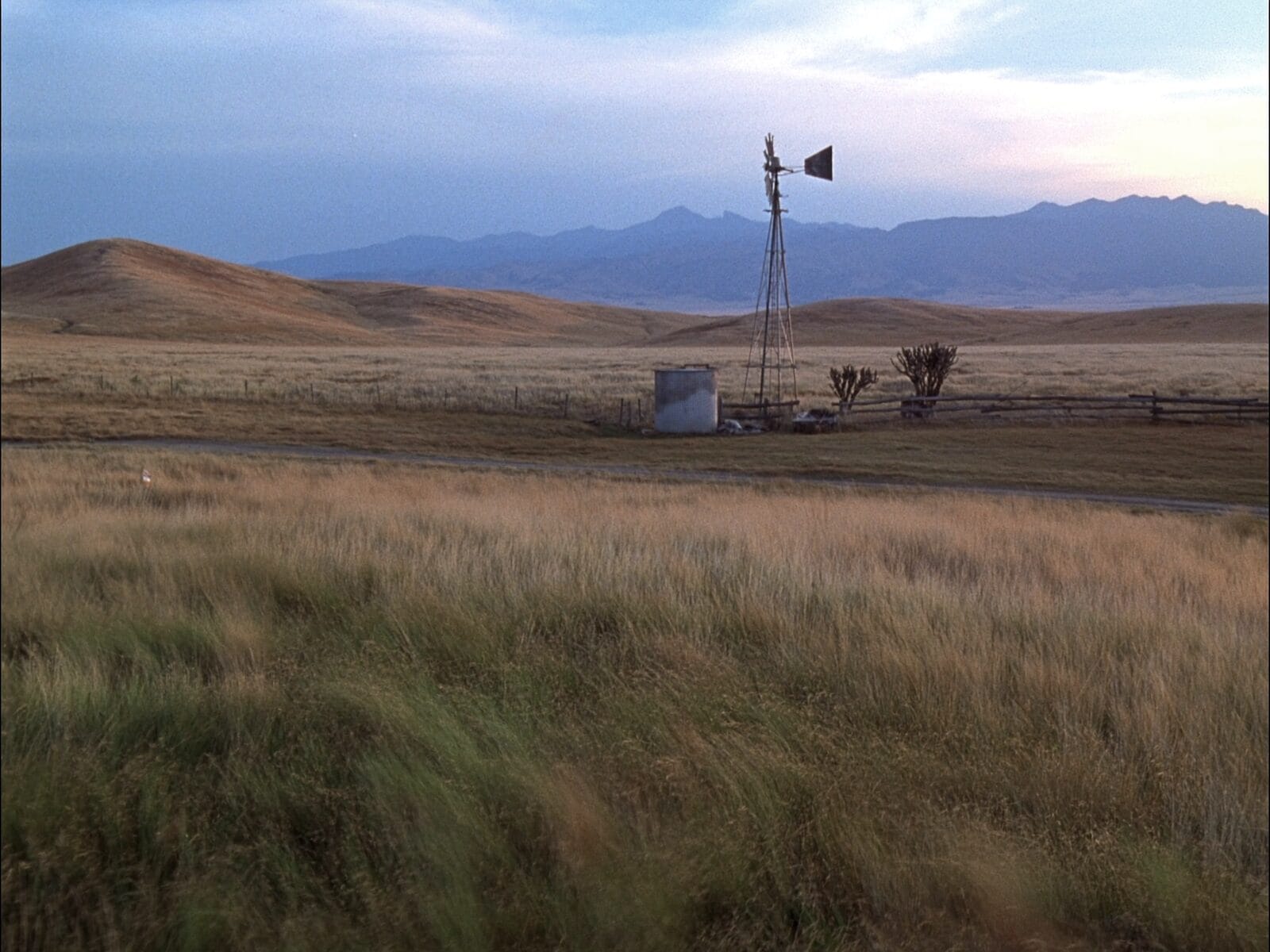 Open sagebrush rangeland with a windmill and a distant range at dusk.
